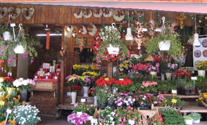 Blumen Paul Friedhofsgrtnerei